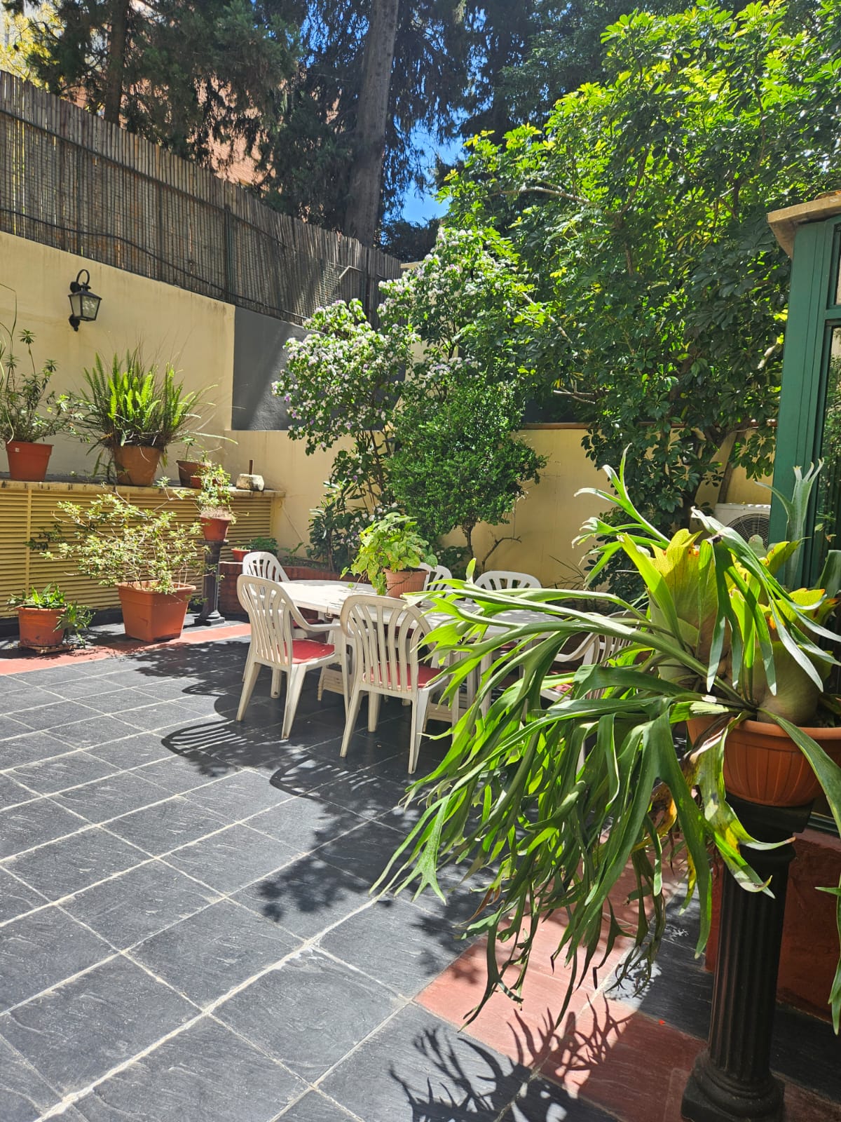 Patio ajardinado